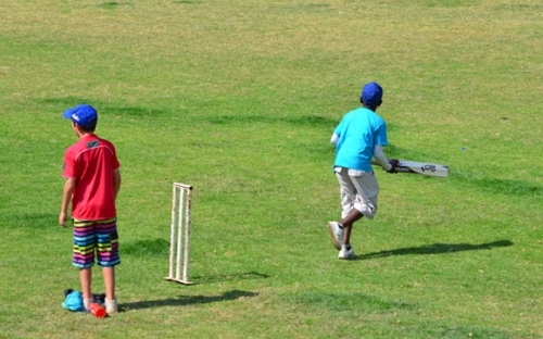 Kids playing Electric Wicket! Played with one batsmen and when you run you can stump either wicket so long as you out of your crease you will be out!