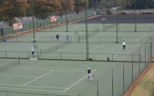 Glanced behind Castle Corner and found some guys training in the tennis courts